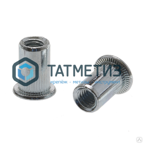 Заклепка-гайка с пот бортом и насечками А4 М 6 х 16 | «ТАТМЕТИЗ» Заклепка-гайка с пот бортом и насечками А4 М 6 х 16 - магазин крепежа «ТАТМЕТИЗ»